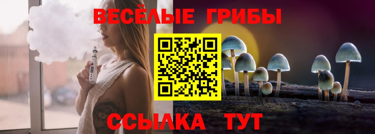Галлюциногенные грибы Psilocybe  Вход с VPN  Псилоцибиновые грибы мицелий  Менделеевск 